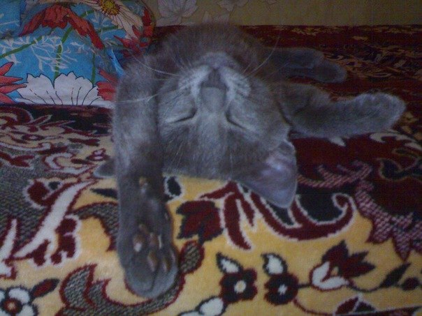 Ринат Романов | 