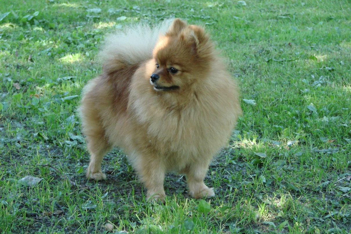 Вера Панасенко | Санкт-Петербург