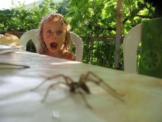 Инга Теплова | 