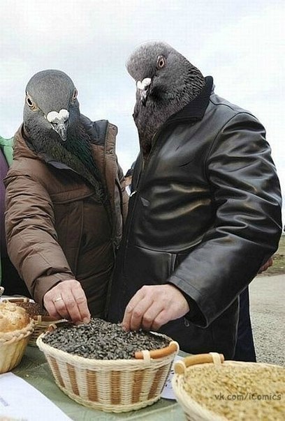 Мария Шишанова | Киев