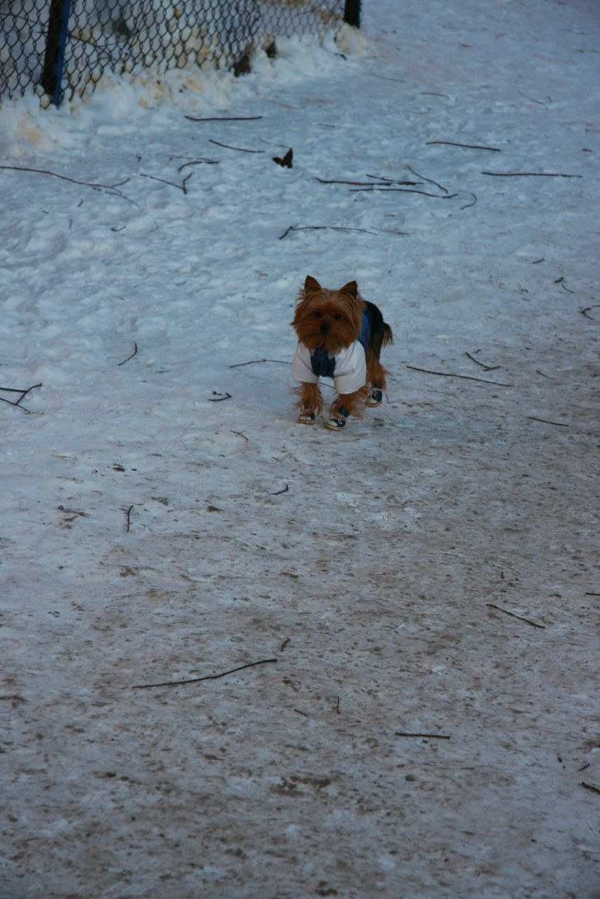 Олечка Титова princessa | Москва