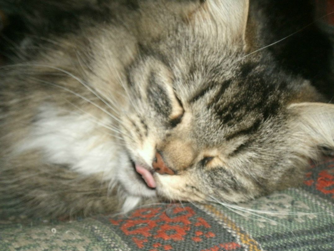 Марина Федорова Mashka | Санкт-Петербург