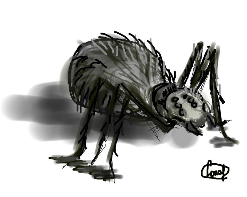 Дарья Соловьева | 