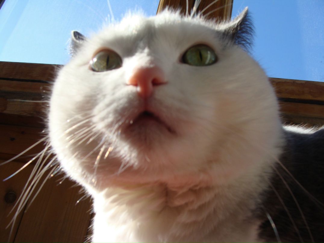 Ирина Новикова | Архангельск