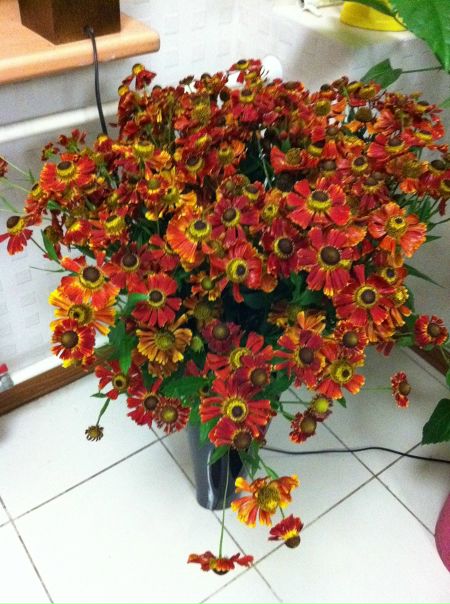 №97, Татьяна Цирульник, Санкт-Петербург №97, Татьяна Цирульник, Санкт-Петербург