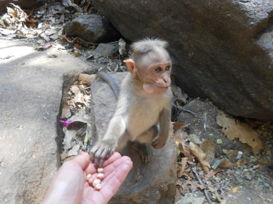 Марина Чирва | Ялта