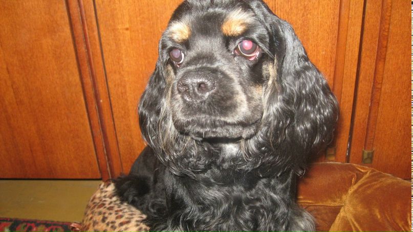 Анастасия Клименко ツ♥ツ♥ツкуклаツ♥ツ♥ツ | Краматорск