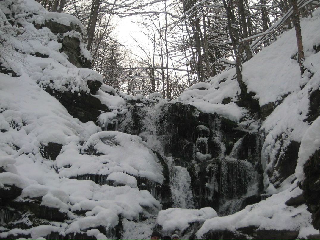 Віктор Русин viktorovuch | Берегово