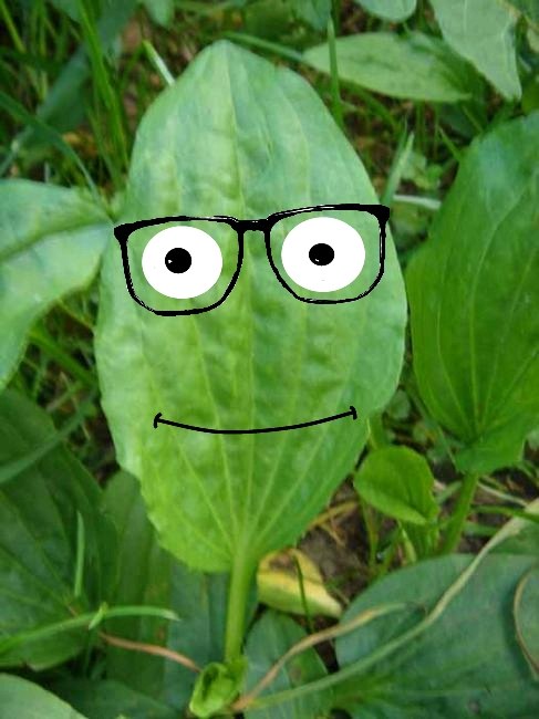 Никита Макеев | Тюмень