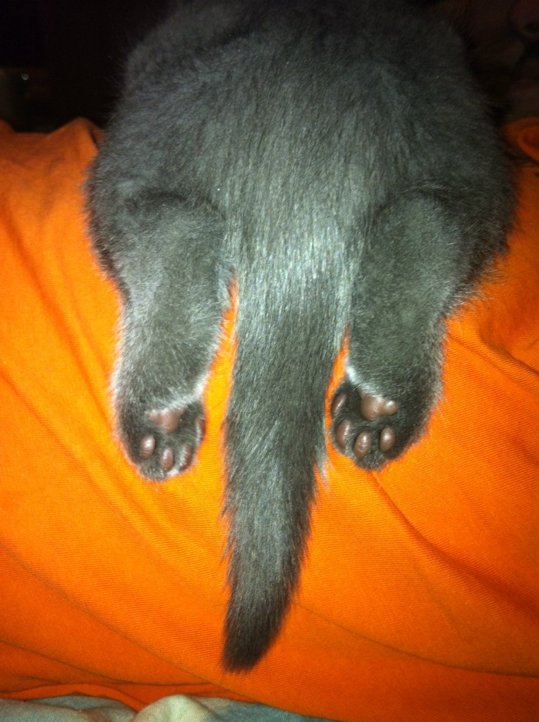 Мария Никитина | Москва