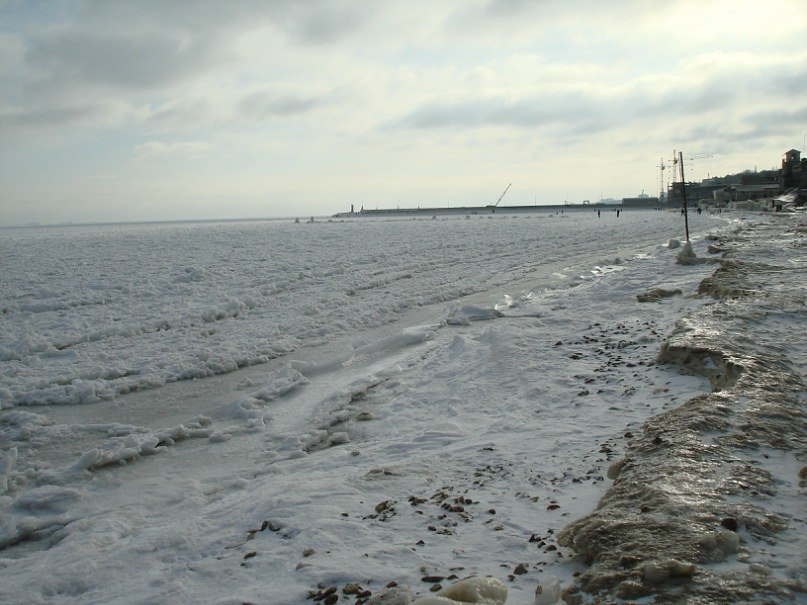 Катюша Занько DEMETRA | Одесса