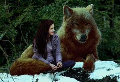 Анастасия Минина | Бежецк