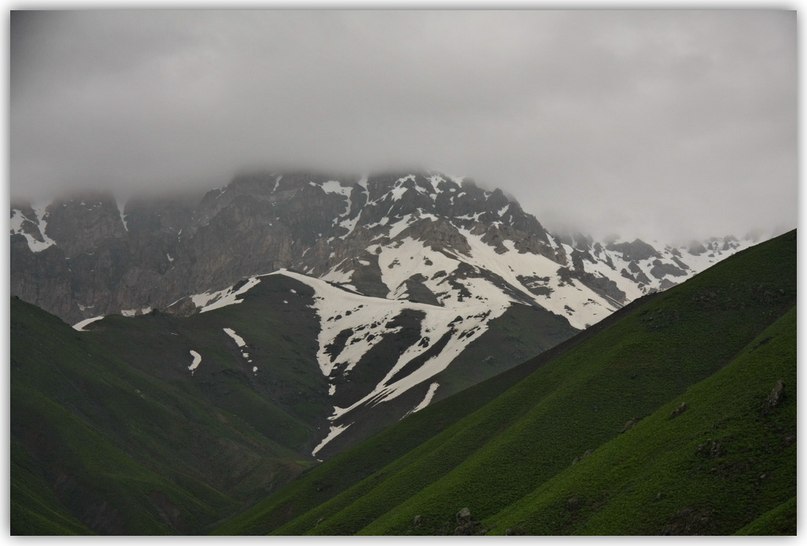 Speranza Hope | Домодедово