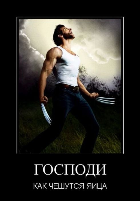 Андрей Олейников | 