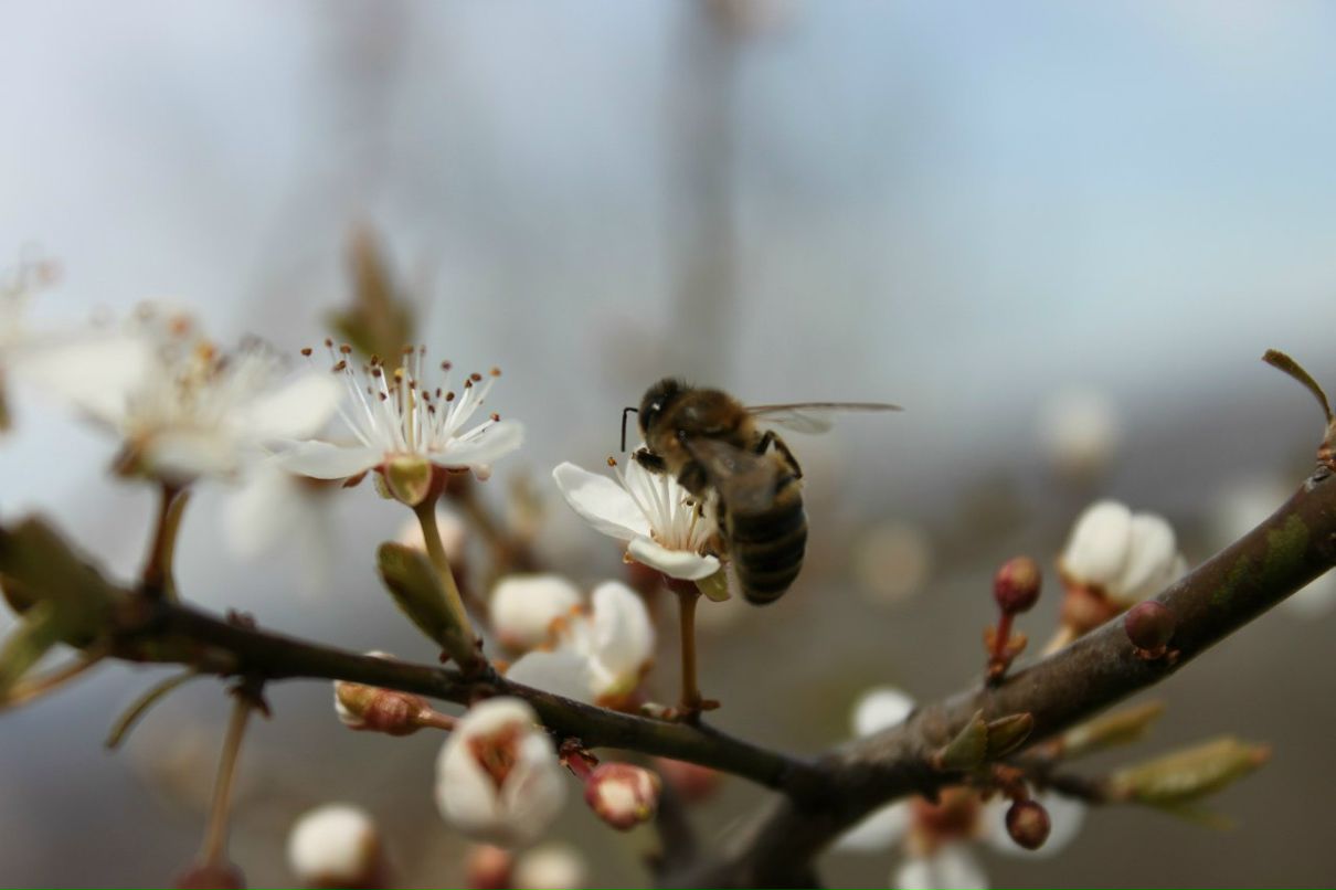 Антон Дерига Antoxxa | Новосибирск