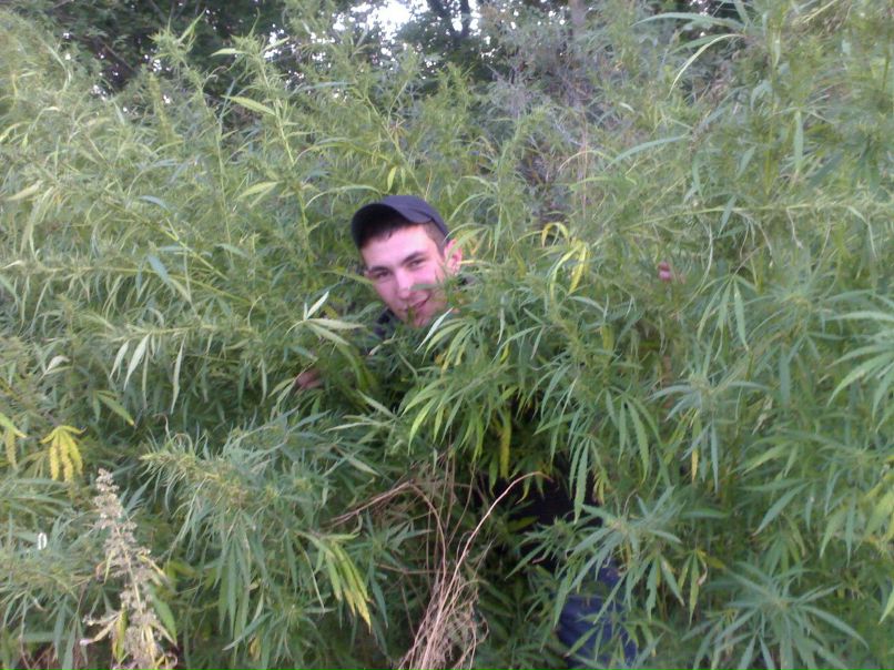 Артем Бондарь | Киев