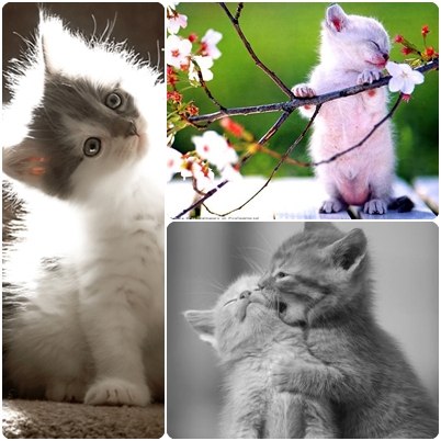 Анастасия Красильникова | Ливны