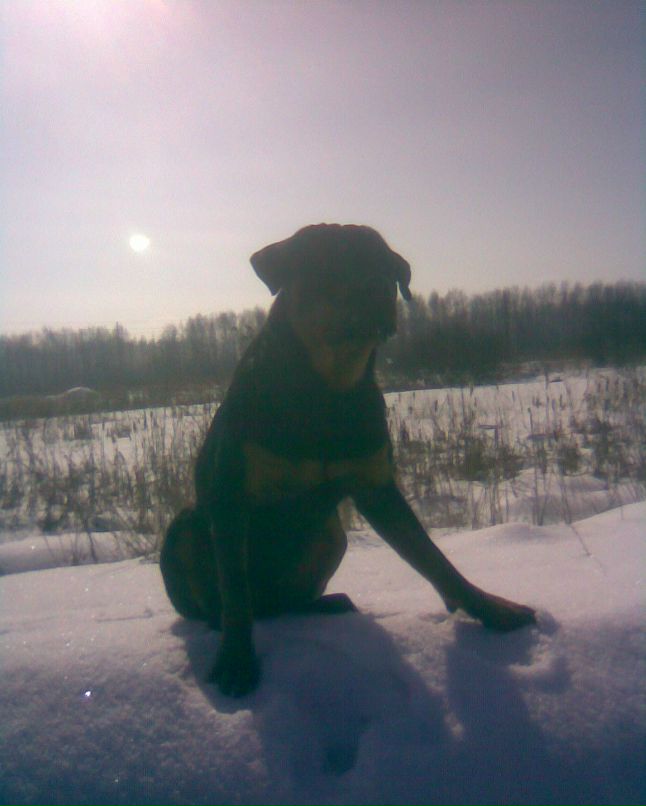 Александр Константинов | Йошкар-Ола