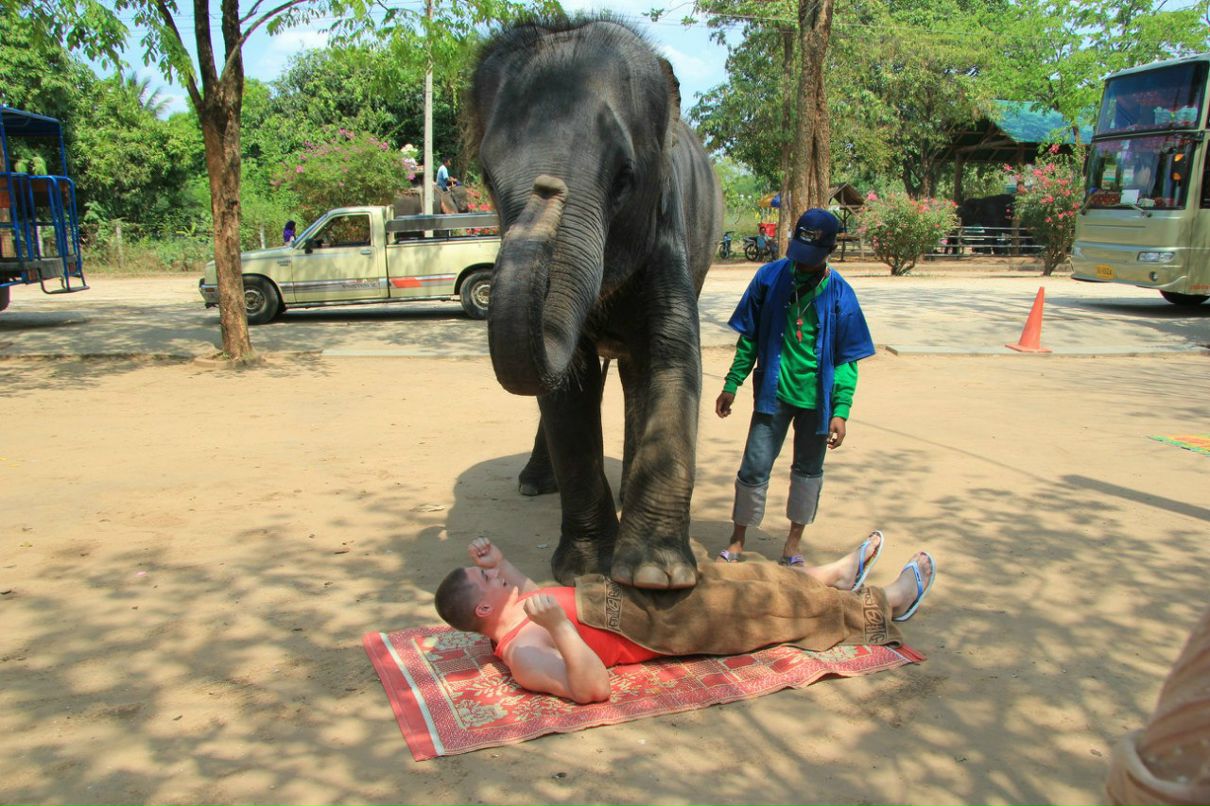 Николай Михайлов | Саввинская Слобода