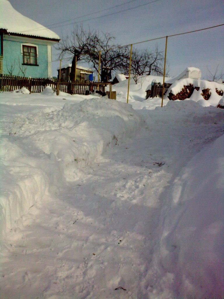 Александр Дралов | Винница