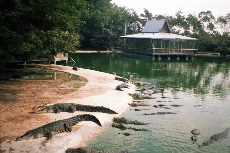 Наташа Мономо | 