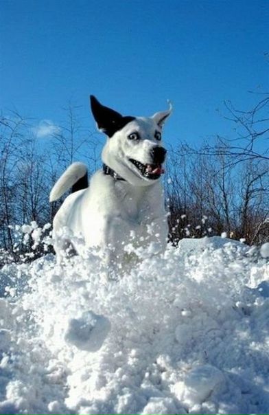 №63, Міша Остапчук, Сарны №63, Міша Остапчук, Сарны