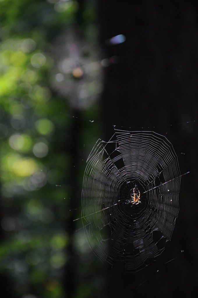 Андрей Цвигун | Hurghada