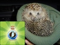 Людочка Смирнова | Миасс