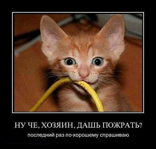 Вера Гришина | Москва