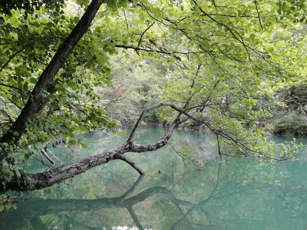 Ольга Куликовская | Череповец