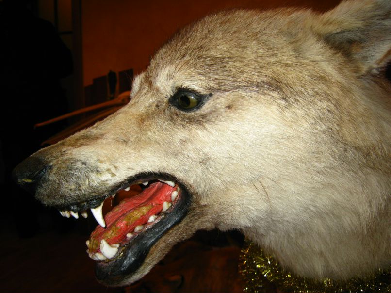 Сергей Руденко | Новомосковск