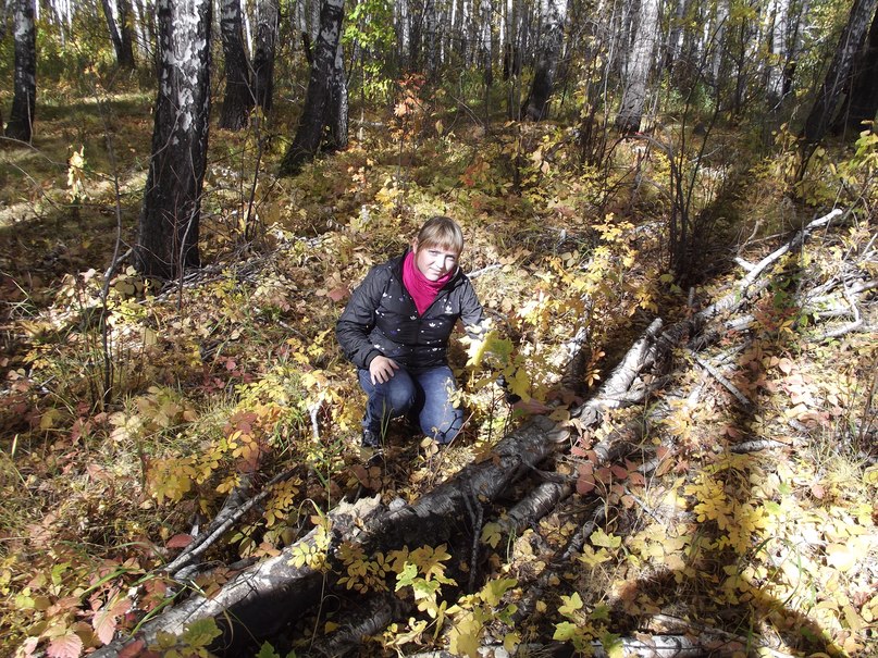 Алёна Карчина | Березовский