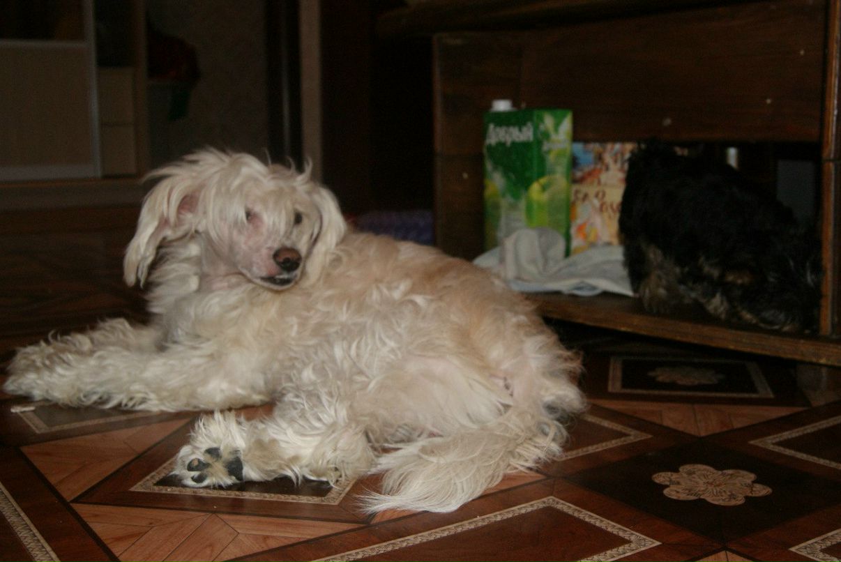 Евгения Рожкова | Самара