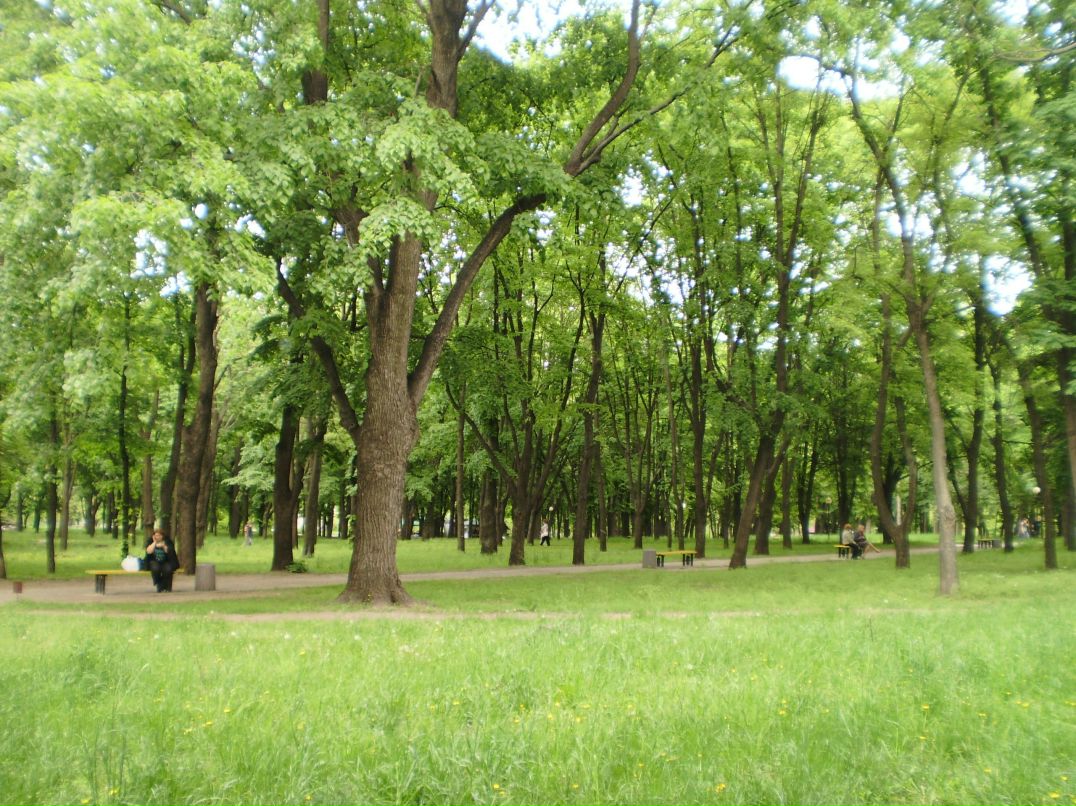 Анэт Афанасьева | Донецк