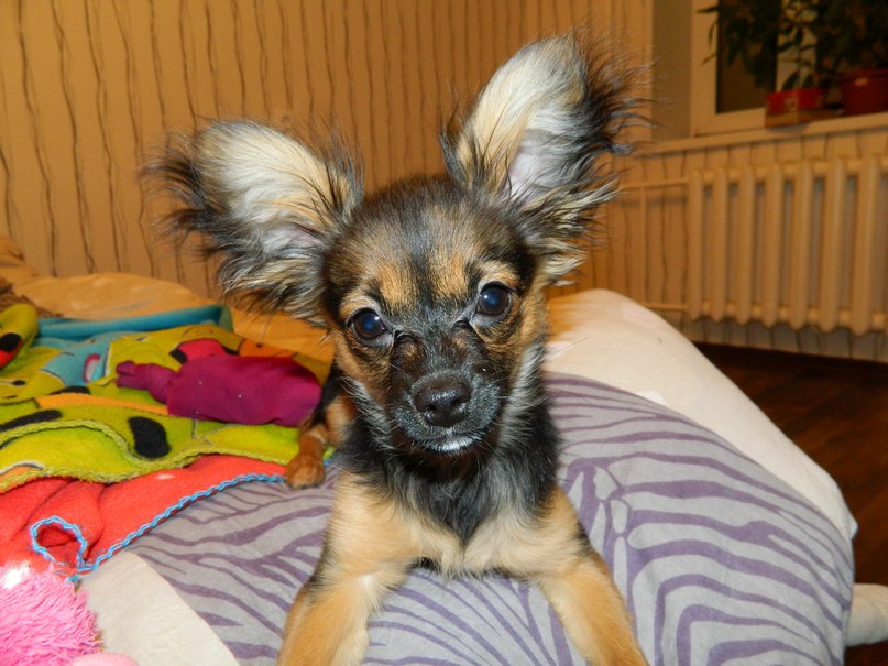 Оксана Бельская | Ульяновск