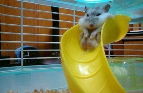 Manic Panic Aleksandrovich | Мурманск