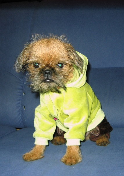 №144, Людмила Романова, Петрозаводск №144, Людмила Романова, Петрозаводск