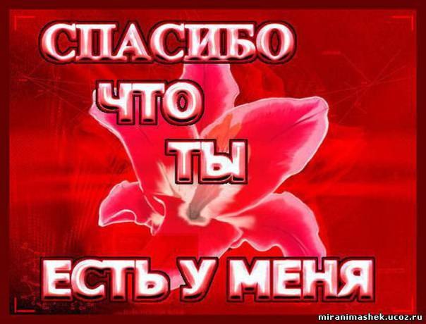 Эля Гарипова | Белорецк