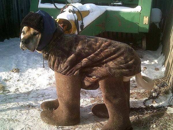 Alex Beliy, Россия, Мурманск