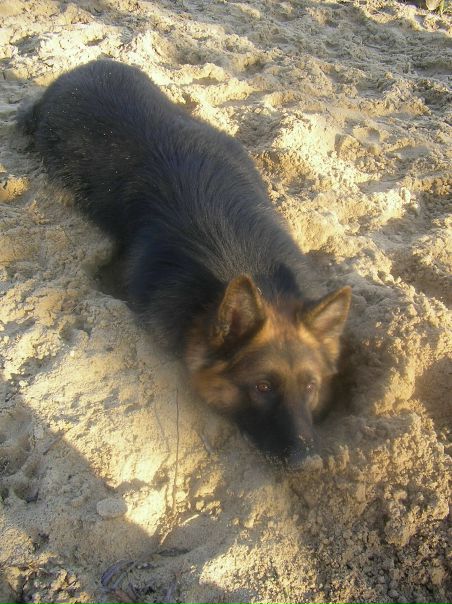 №1, Ліля-Софія Обушинські, Броды №1, Ліля-Софія Обушинські, Броды