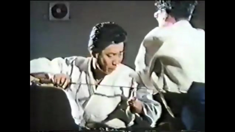 История Хонтай Йошин Рю Дзю Дзюцу,