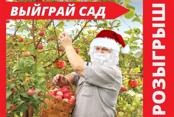 Златпитомник Интернет Магазин Каталог Весна