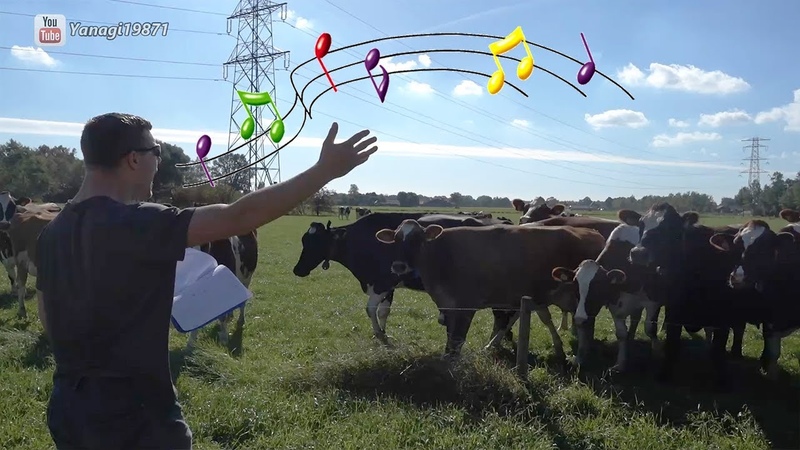 The Return of The Burping Cow
