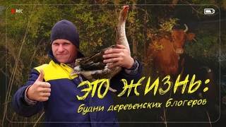 Это жизнь: будни деревенских блогеров (ПРЕМЬЕРА)