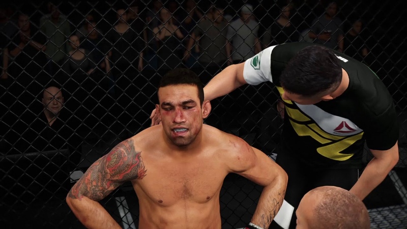 Werdum vs