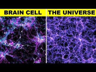 7 Human Body Functions That Scientists Can’t Explain