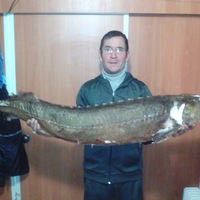 Александр Валиев