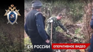 Бомж с красной лопатой