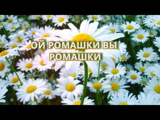 Ой, ромашки вы ромашки !