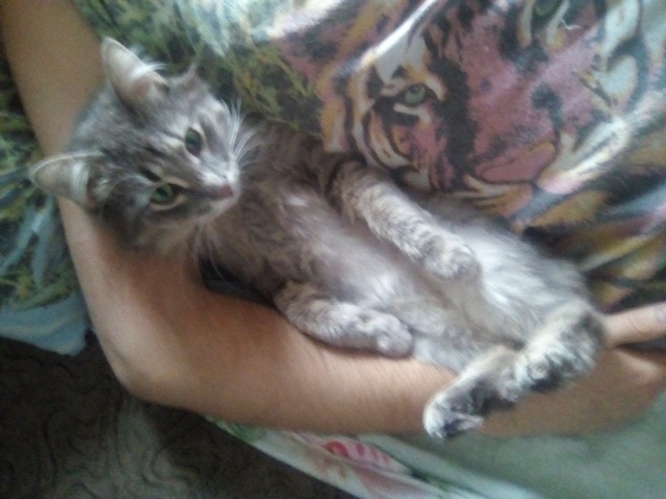 Антоха Лазарь, Россия, Москва